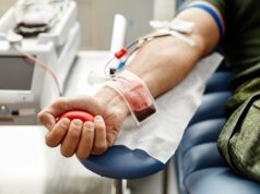 How Does Donating Plasma Work: A Step-by-Step Guide Donating Plasma